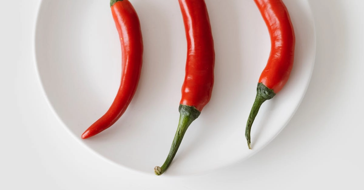 Hot Chilli тренировка реакции для спортсменов